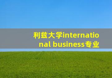 利兹大学international business专业